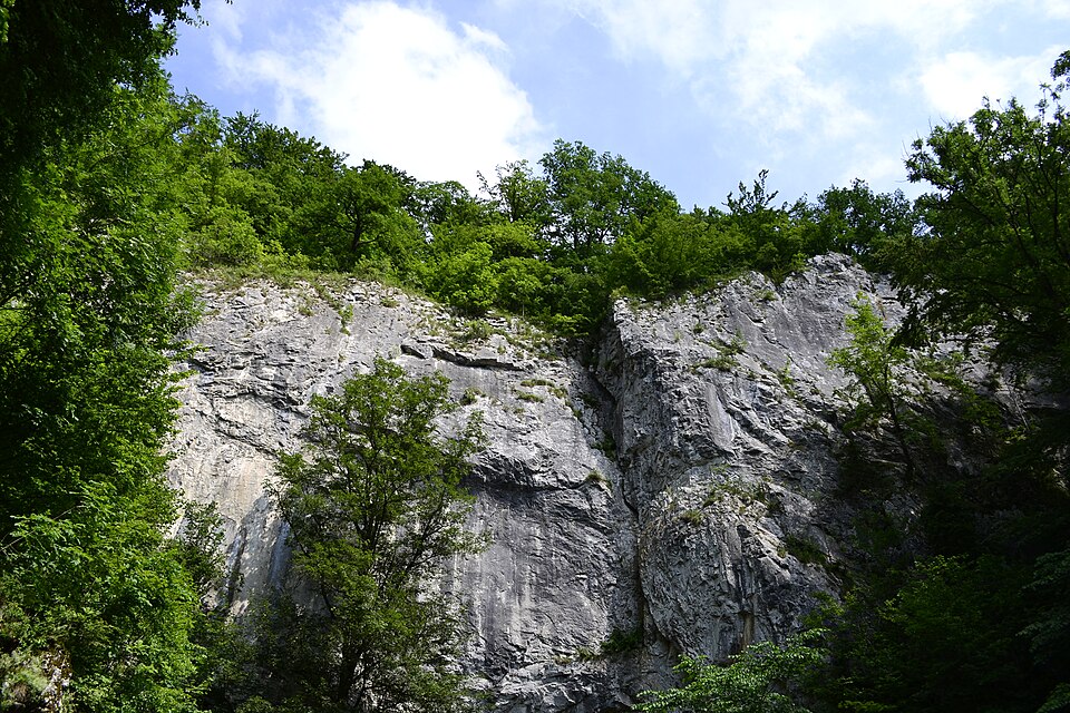 Photo: Býčí skála Cave, Czech Republic Author: Michal Kopecký Source:https://commons.wikimedia.org/wiki/File:B%C3%BD%C4%8D%C3%AD_sk%C3%A1la_-_panoramio_(1).jpg Original source: https://web.archive.org/web/20161028133428/https://www.panoramio.com/photo/93645992 License: Creative Commons Attribution 3.0 Unported (CC BY 3.0)