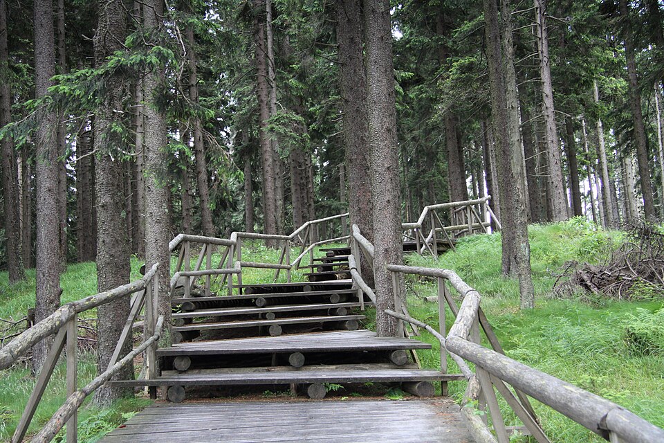 Image: Boubínský virgin forest, Czech Republic Author: Chmee2License: CC BY 3.0 – https://creativecommons.org/licenses/by/3.0/