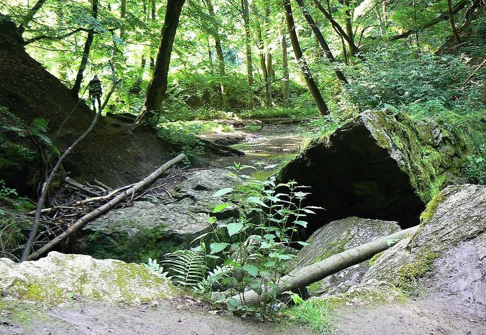 Nature Reserve Bílá voda, Moravian Karst, Blansko District, Czech Republic — photo by Huhulenik / Wikimedia Commons / CC BY 3.0Licensed under the Creative Commons Attribution 3.0 Unported license (CC BY 3.0). No changes were made to the image.