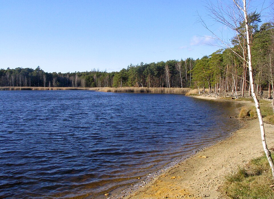 Kamenný Pond (Kamenný rybník), sandy beach on the northeastern shore, Plzeň, Czech Republic — photo by Adam Hauner / Wikimedia Commons / CC BY-SA 3.0Licensed under the Creative Commons Attribution-ShareAlike 3.0 Unported license (CC BY-SA 3.0). No changes were made to the image. (Original work by Adam Hauner, transferred from Czech Wikipedia to Wikimedia Commons.)