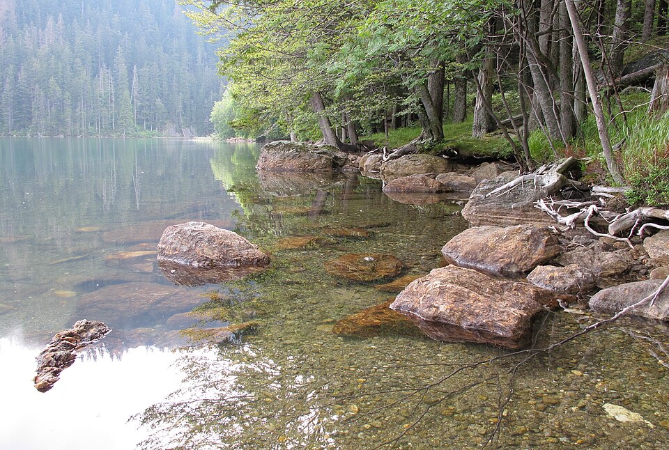 Černé Lake (Černé jezero), National Nature Reserve Černé a Čertovo jezero, near Železná Ruda, Klatovy District, Czech Republic — photo by Huhulenik / Wikimedia Commons / CC BY 3.0Licensed under the Creative Commons Attribution 3.0 Unported license (CC BY 3.0).  Photo by Huhulenik, published via Wikimedia Commons.  No changes were made to the image.