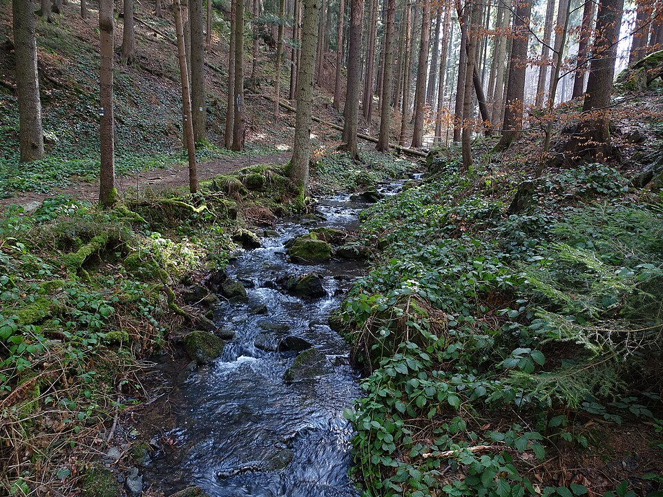 Photo: ŠJů / Wikimedia Commons / CC BY 4.0