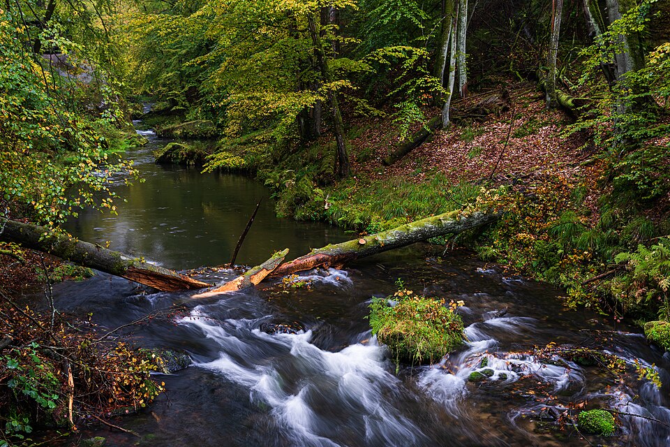 Photo: Markus Trienke / Wikimedia Commons / CC BY-SA 2.0