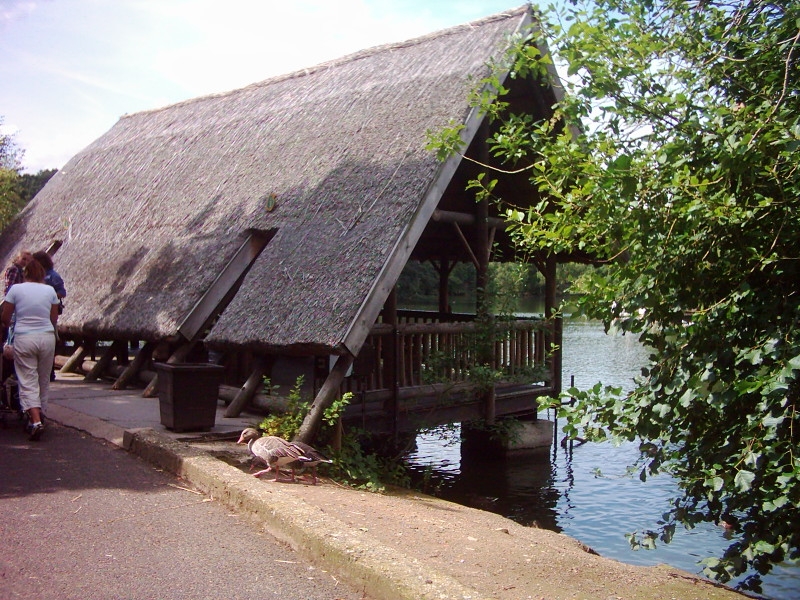 Photo: Zipacna1 / Wikimedia Commons / CC BY 3.0