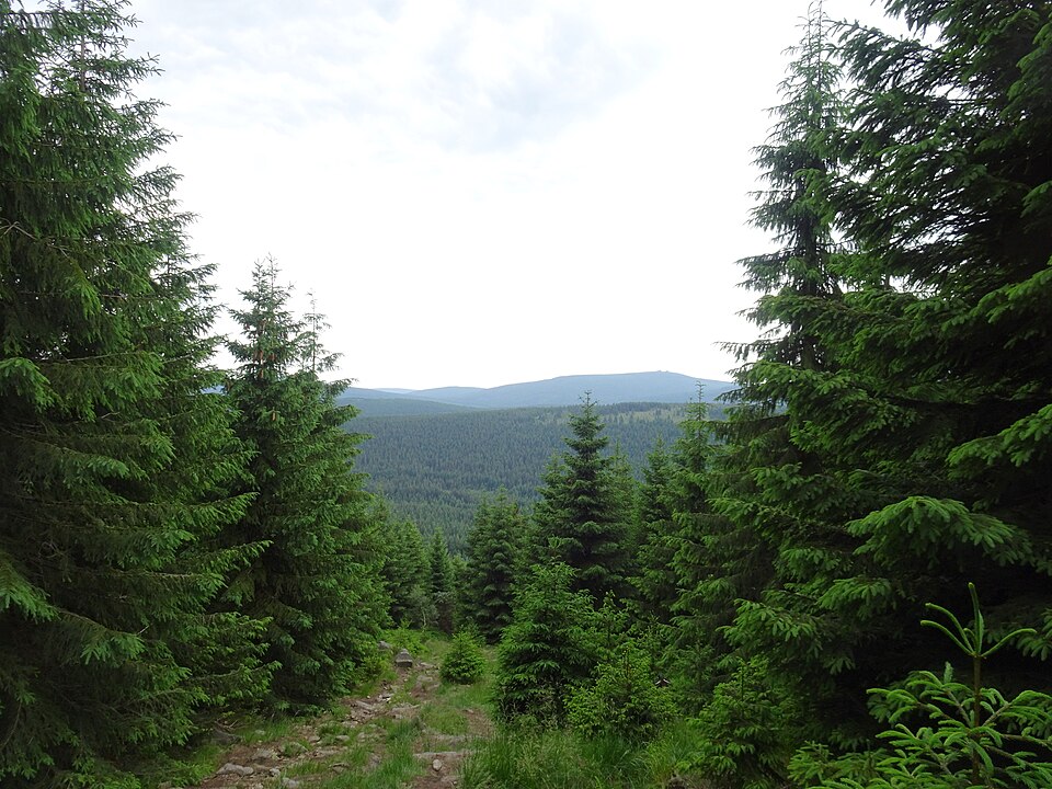 Photo: Palickap / Wikimedia Commons / CC BY-SA 4.0