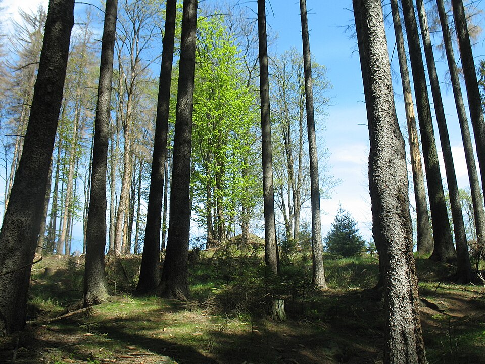 Photo: Marie Čcheidzeová / Wikimedia Commons / CC BY-SA 4.0