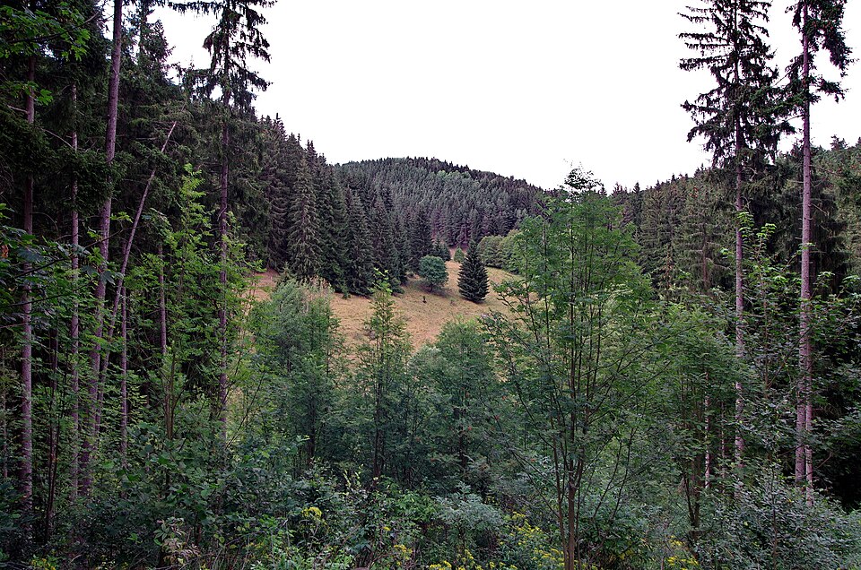 Photo: Lubor Ferenc / Wikimedia Commons / CC BY-SA 4.0 Source: Wikimedia Commons – Slavkov Forest above Bečov nad Teplou