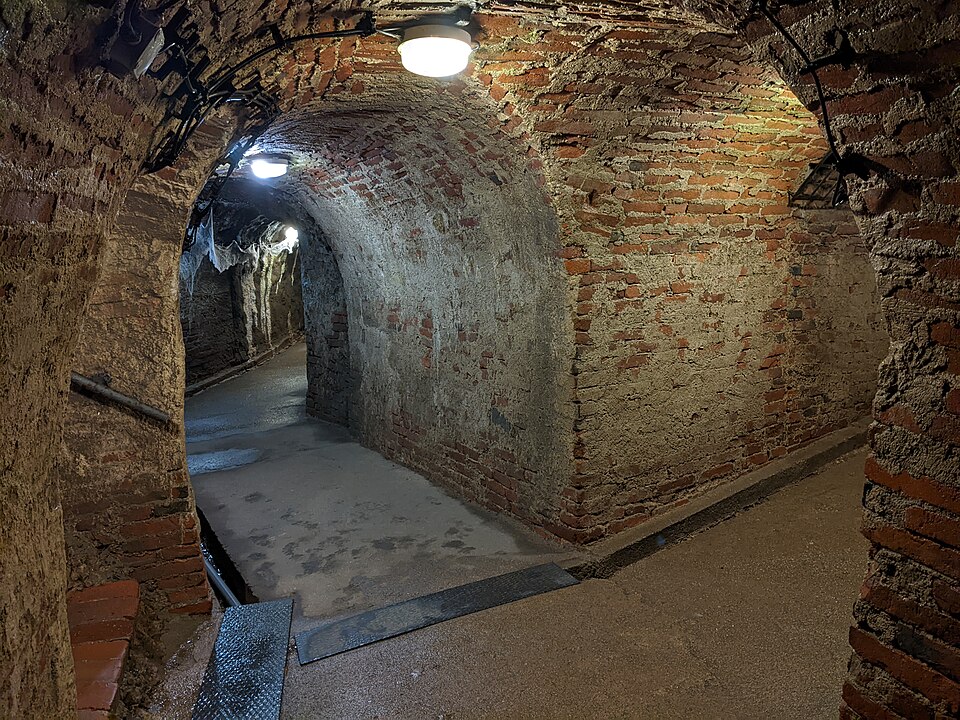 Photo: MartinVeselka / Wikimedia Commons / CC BY-SA 4.0 Source: Wikimedia Commons