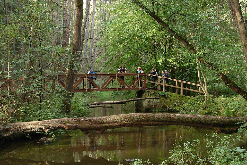 Photo: Iaroslavvs / Wikimedia Commons / CC BY-SA 4.0 Source: Wikimedia Commons