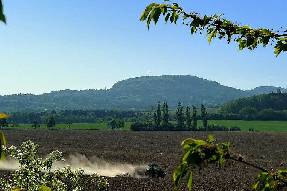 Photo: LaSo / Wikimedia Commons / CC BY-SA 3.0 Source: Wikimedia Commons