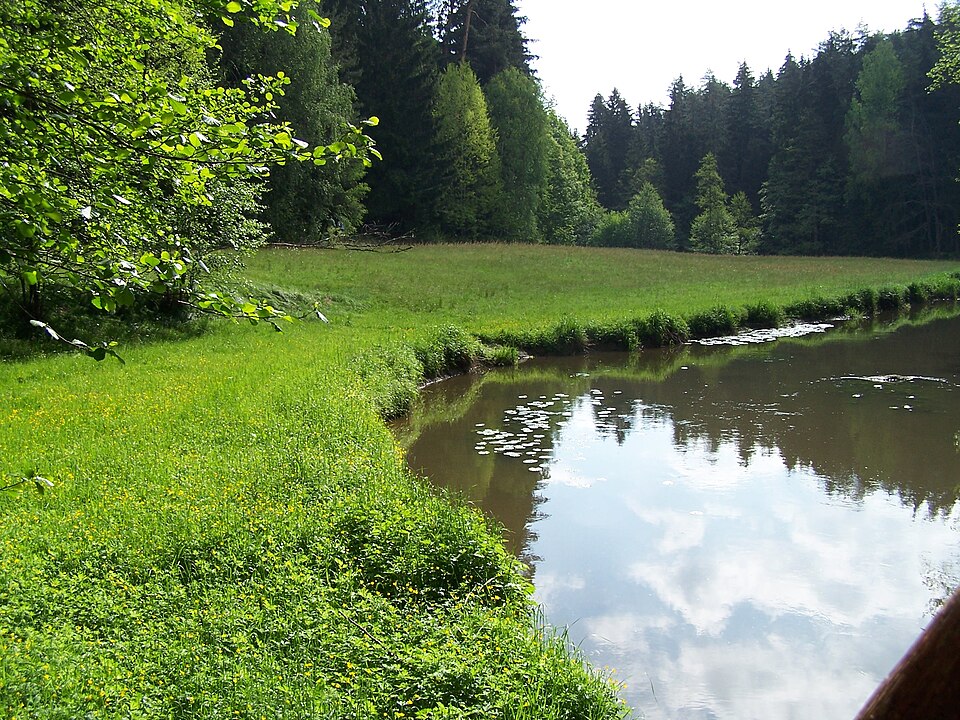 Photo: Urmelbeauftragter / Wikimedia Commons / CC BY-SA 3.0 Source: Wikimedia Commons