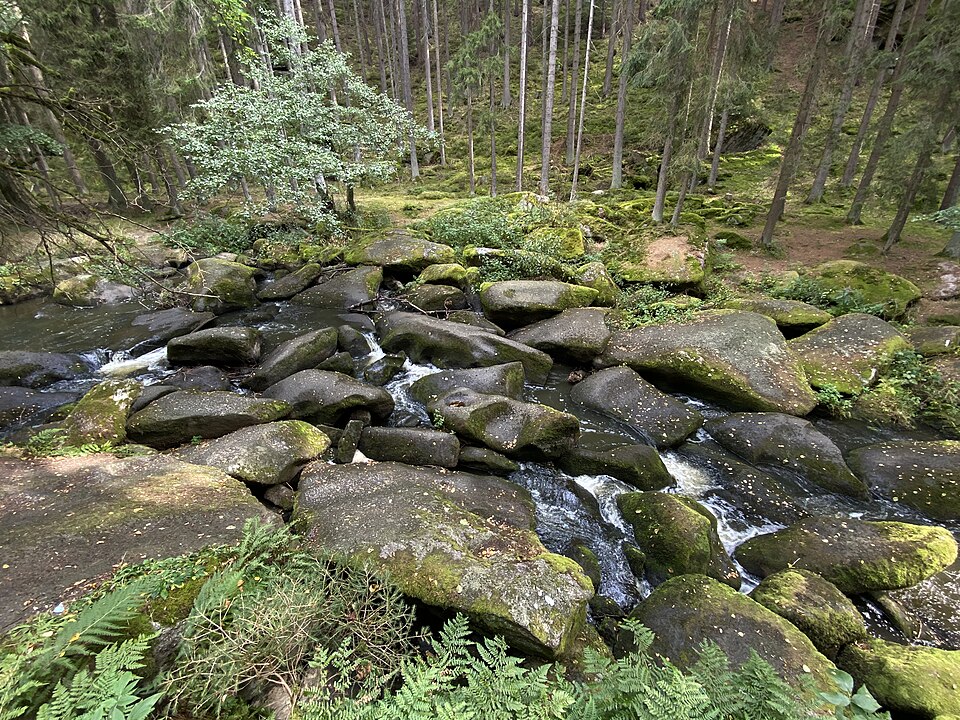 Photo: Mykolanovik / Wikimedia Commons / CC BY-SA 4.0