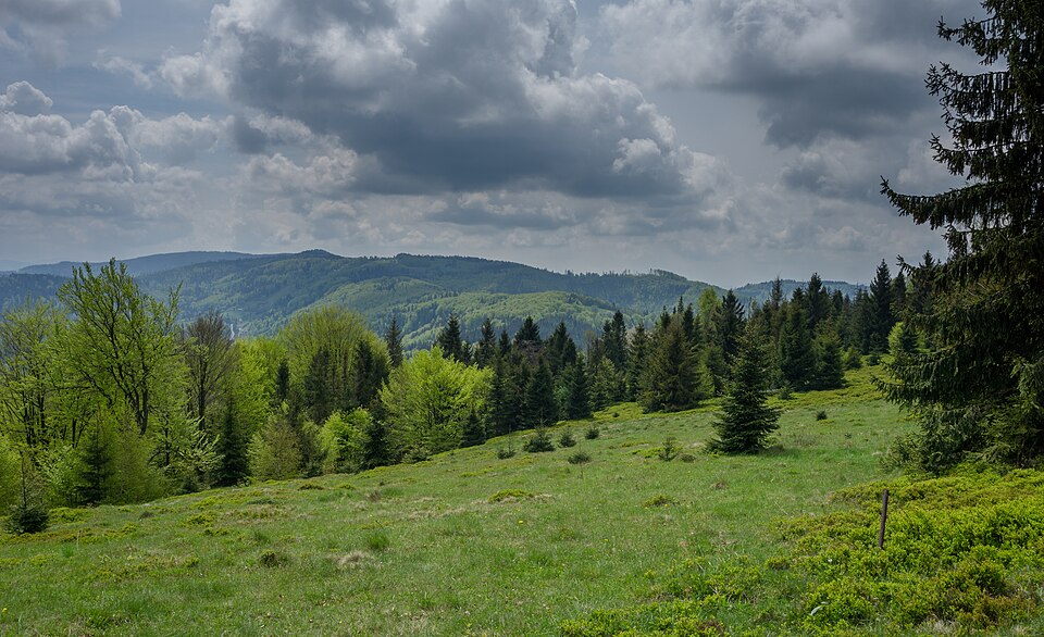Photo: Michal Klajban / Wikimedia Commons / CC BY-SA 4.0